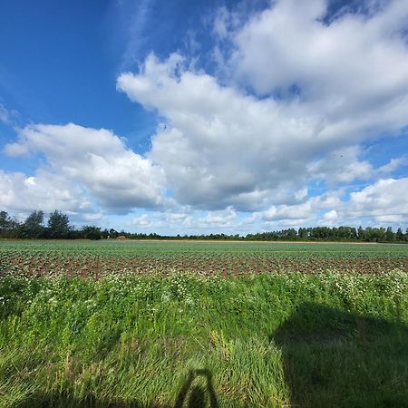 Huisje Mina Vrouwenpolder Dış mekan fotoğraf